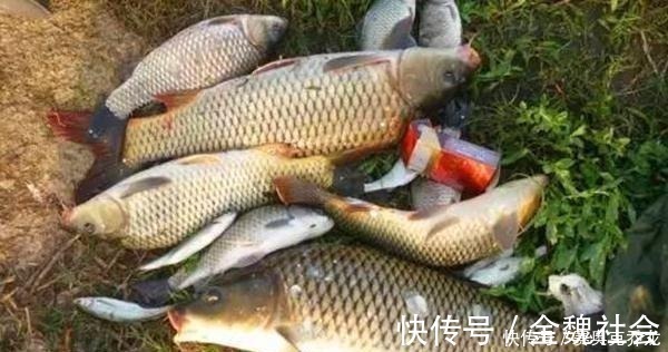 窝点|钓鱼技巧:鲜为人知的钓鱼冷知识,看似没用,其实影响了渔获量