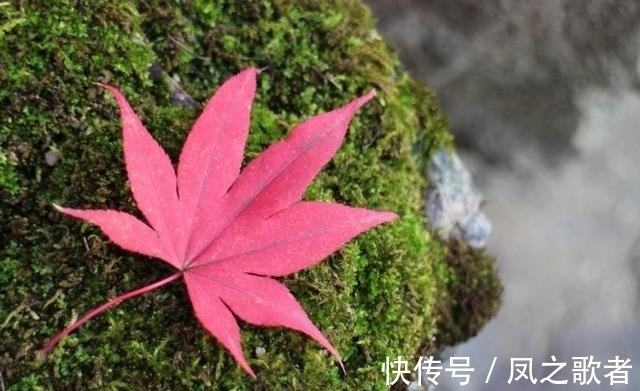 旧爱|10天后，同心永结，泪眼迷离，情难自已，爱火重燃，留住旧爱