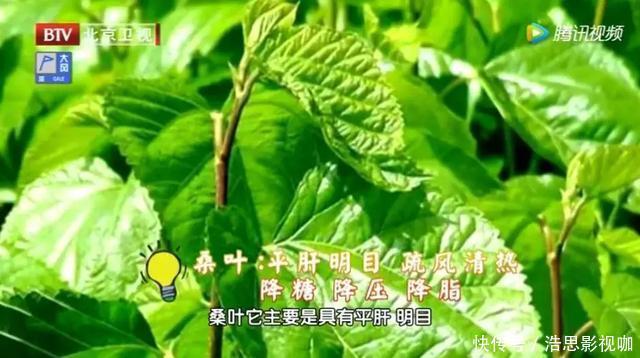 它被誉为“神仙叶”，每天一把泡水喝，三高慢慢降下来，益寿延年