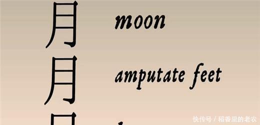 学好|外国纪录片 汉字没有那么难, 学好画画就会写