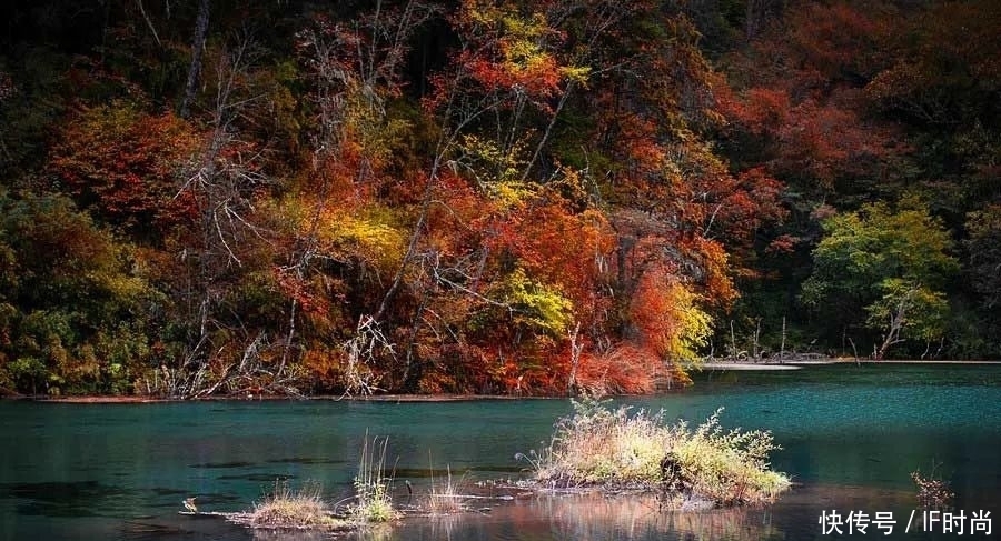 《有翡》取景地竟在川西！海拔3700米，很危险也很美丽……