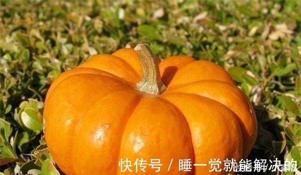 东瓜|冬瓜、西瓜、南瓜，为什么没有北瓜？其实“北瓜”我们早就吃过了