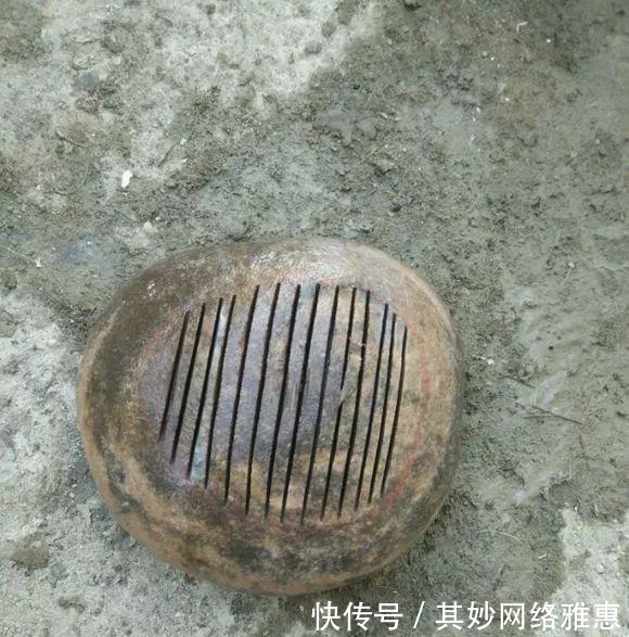 花友|大爷用石头来养花,越养越值钱,有人出1000块也不卖!