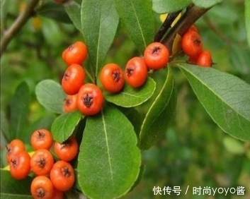 盘点孕期值得无限复购的护肤品推荐!孕妇护肤品空瓶记