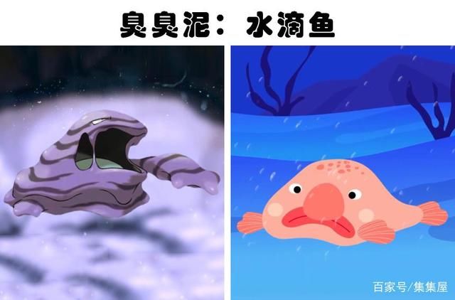 童话里不是骗人的?细数7种与卡通角色非常神似的现实动物