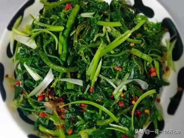 野菜|这树满身刺，嫩叶却成极品野菜，民间俗称“刺拐棒”，一斤30元