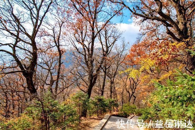 建筑群|这里是中华道教第一山，有四千多年的历史，景色绝美，宛如仙境！