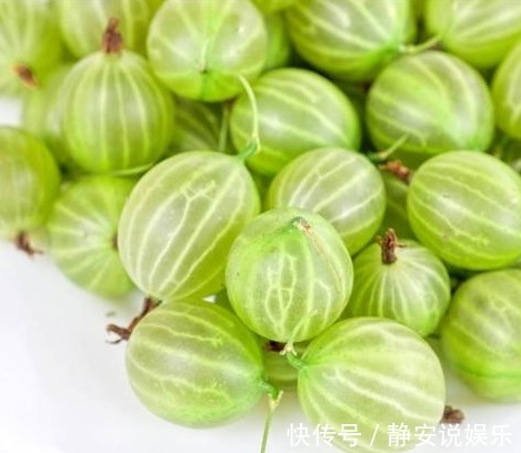 醋栗|农村这种常见的野果，不但能降血脂、降血压，还能治疗皮肤病！