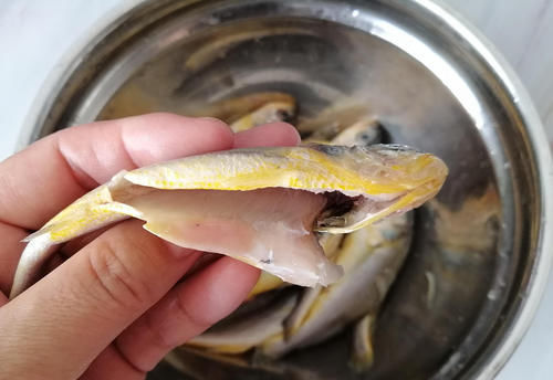 今天才知道，鱼身上3个地方毒素最多，不要随便吃，长记性了