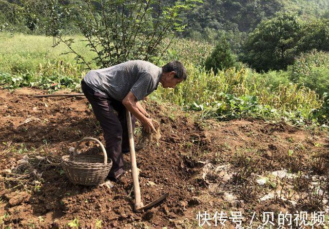 夫妻|俗语:“过了夏至节,夫妻各自歇”,为啥夏至过后,夫妻要各自歇