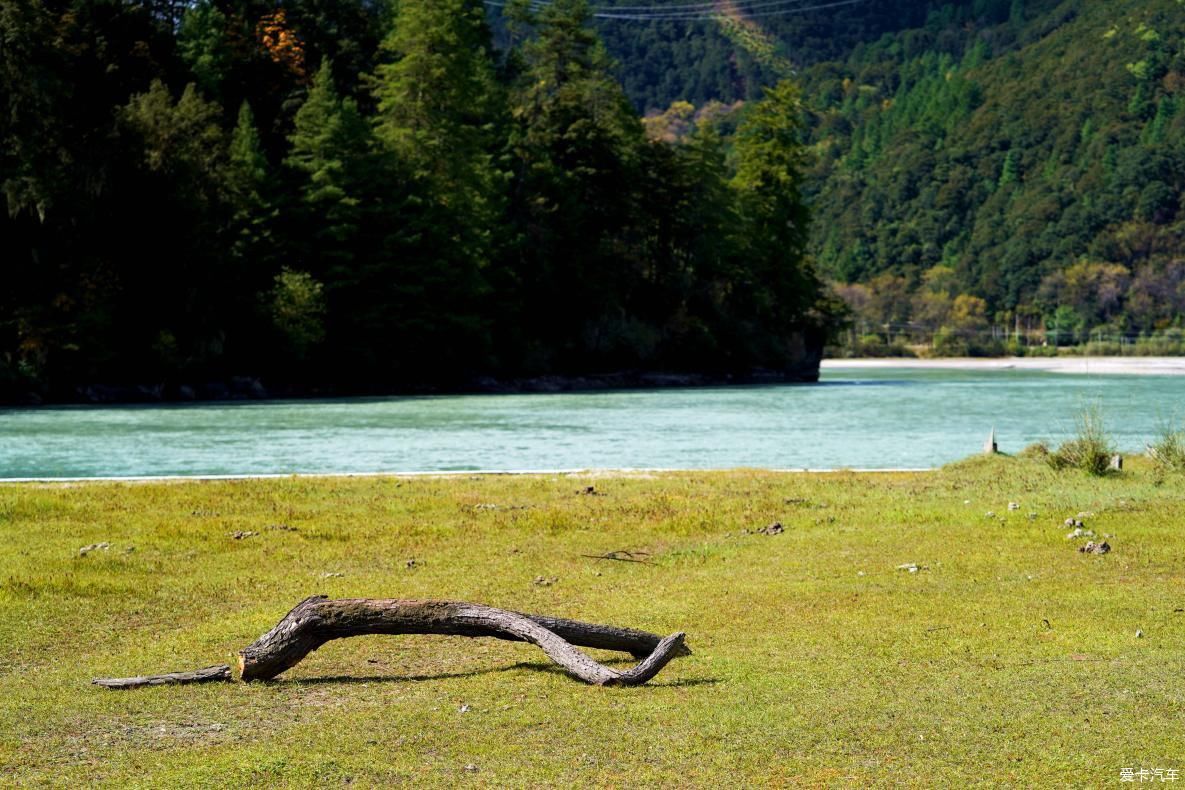 独自自驾游 欣赏最美的岗云杉林 体验环藏之旅的慢生活