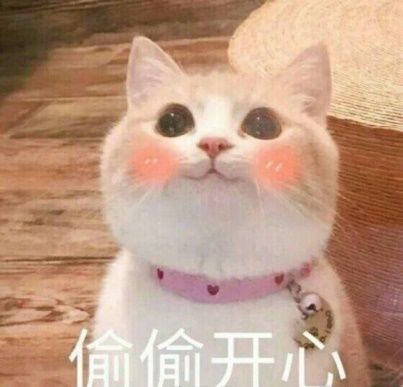 如今|人生多少意难平！那些饱受伤病困扰的职业选手，如今都怎样了？