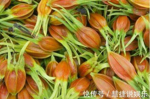 泡水|晚上易失眠多梦用此物泡水,睡前来一杯,告别失眠,远离黑眼圈