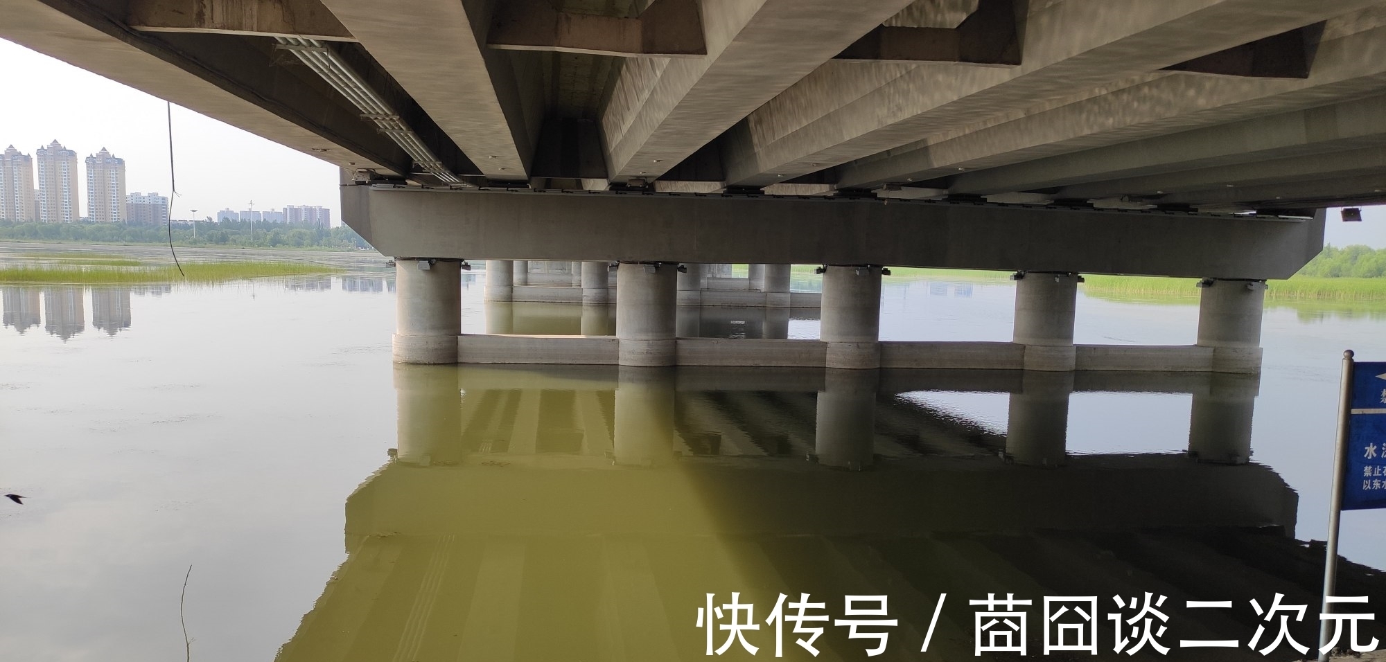 初冬钓鲫鱼,昔日好钓点已经没鱼了,大鲫鱼都转移到这些地方了