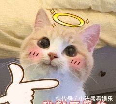 氨基酸洗面奶|把脸打湿,就上洗面奶?做不到“这几点”,别怪毛孔粗大易长痘