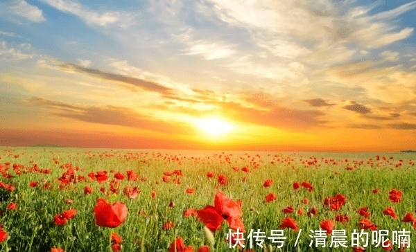 财运|9月份，财源广进，事业节节高升，惊喜不断，生活富足美满