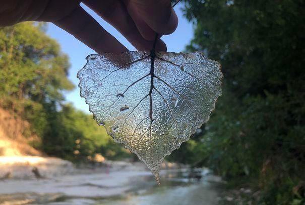 人们分享自己遇上的160个最奇怪的发现（下）