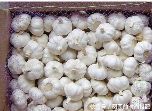 大蒜放久了干瘪发芽,容易坏你得这样放!