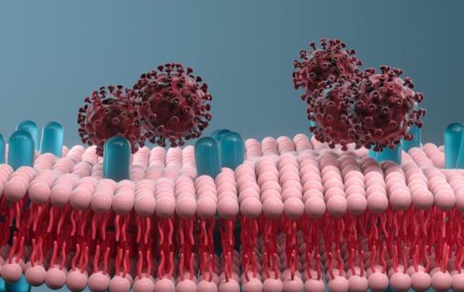 关键点|如何在减脂的同时排便还很顺畅,身体很舒服?记住这3个关键点