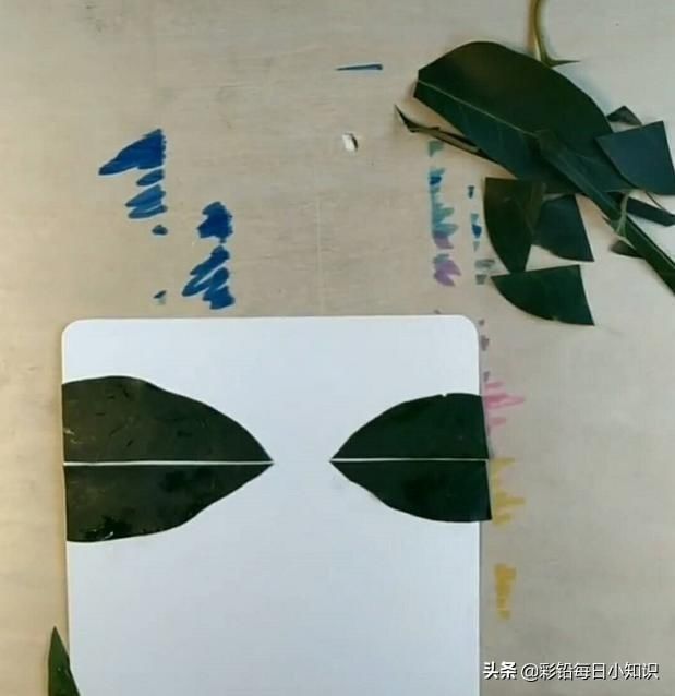 生用|美术生用树叶拼成一幅画,开始有点迷惑,结果比画的也不差