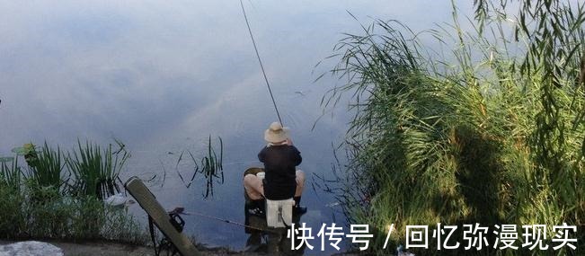 钓鱼|夏季三伏天钓鱼怎么钓钓鱼高手给你支个招，提高中鱼率！