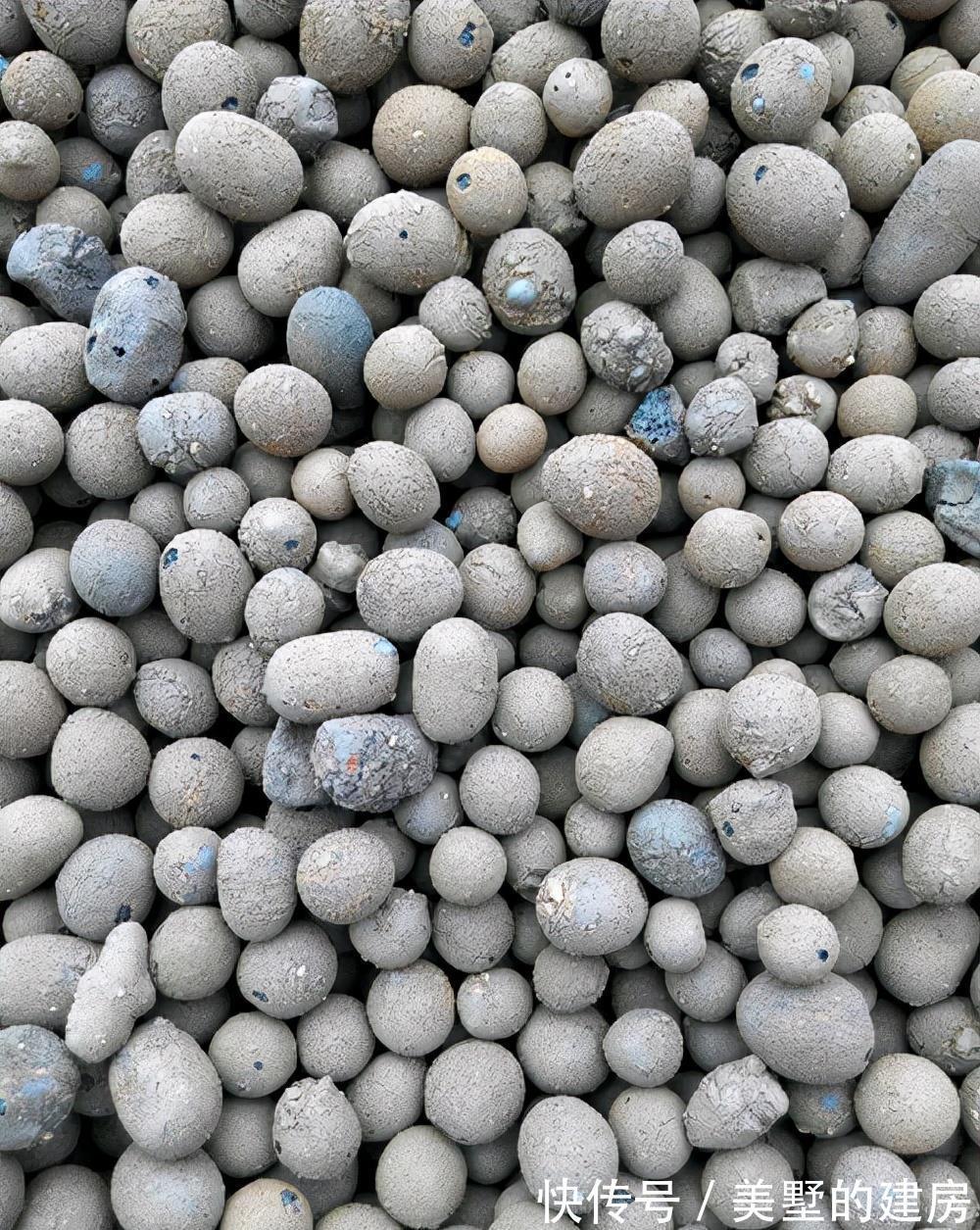 盘点|养花加点料，盘点四大好用的养花小“料”，你用过吗？