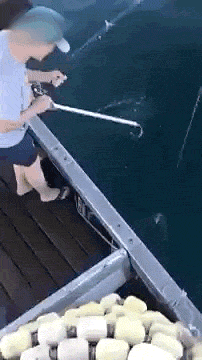 |搞笑GIF:一转身美美哒