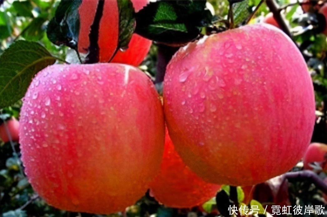 冬季降肝火,家里多吃3种食物,帮你养出一个健康的肝脏