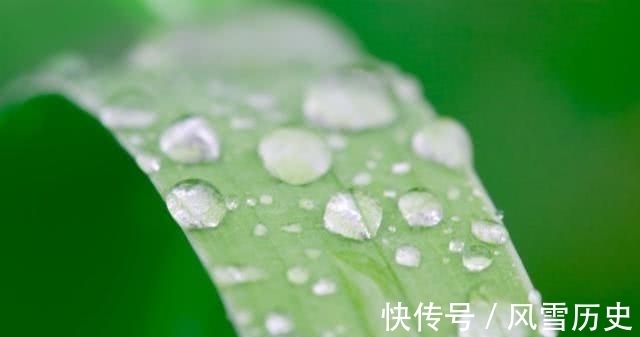 毒素|湿气重的人，一般都有“一臭、两油、三肥”，学4招排湿气