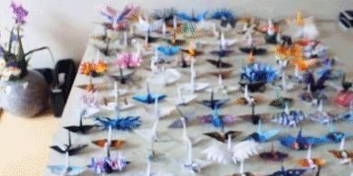 灵感$抑郁小哥把一只2毛钱的千纸鹤折成了我买不起的样子,不但病好了还年入百万