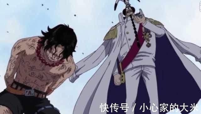 战国|海贼王:路飞是海贼,龙是革命军,为何海军不逮捕卡普?