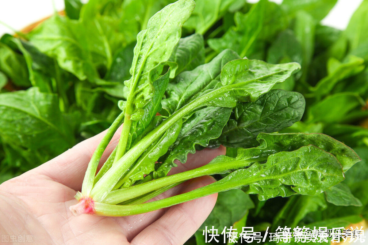 买菠菜时,要分清“圆叶”和“尖叶”,区别挺大,买错涩口不甜爽