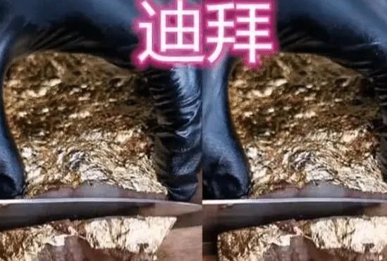 迪拜|同样是烧烤,中国人烤西瓜,泰国人烤椰子,看到迪拜这才是“壕”