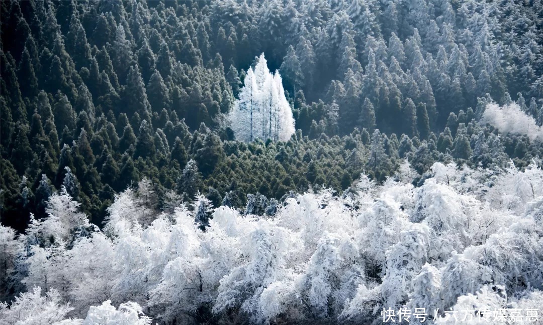 明天|如果明天下雪，陪我去敕木山看冬天的第一场雪吧