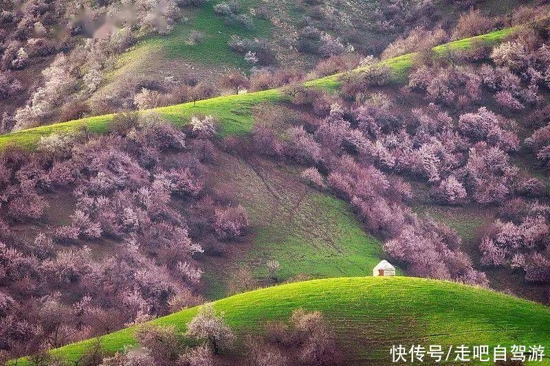 中国的春天究竟有多美？去这些地方看看就知道了