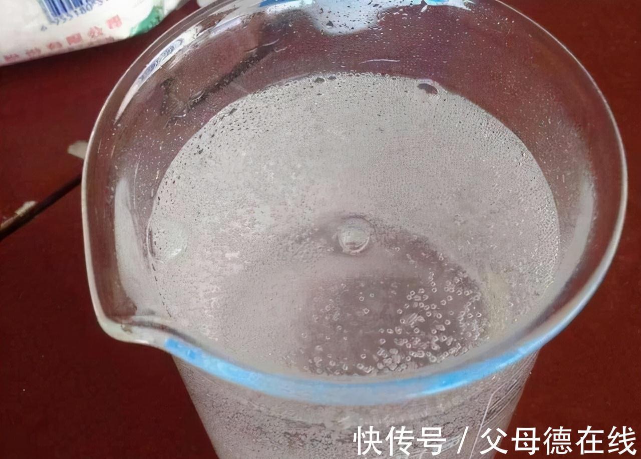 溶液|蟹爪兰喜“2种肥水”，每隔30天“喂”1杯，叶片肥厚油亮、开花快