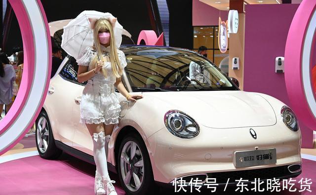 欧拉好猫|欧拉好猫“换芯门”持续发酵,避重就轻的“文字游戏”遭央视点名