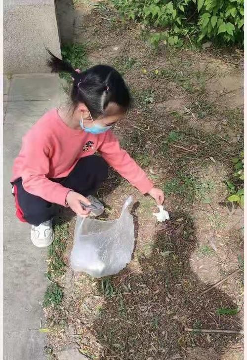 石家庄市维明路小学：让孩子过有劳动的劳动节才有意义