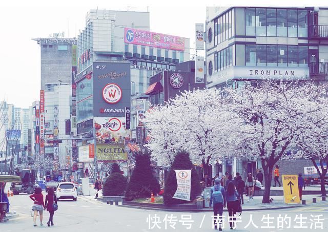 年轻人|7年房价涨一倍，生育率创历史新低，韩国年轻人困在“楼市”里