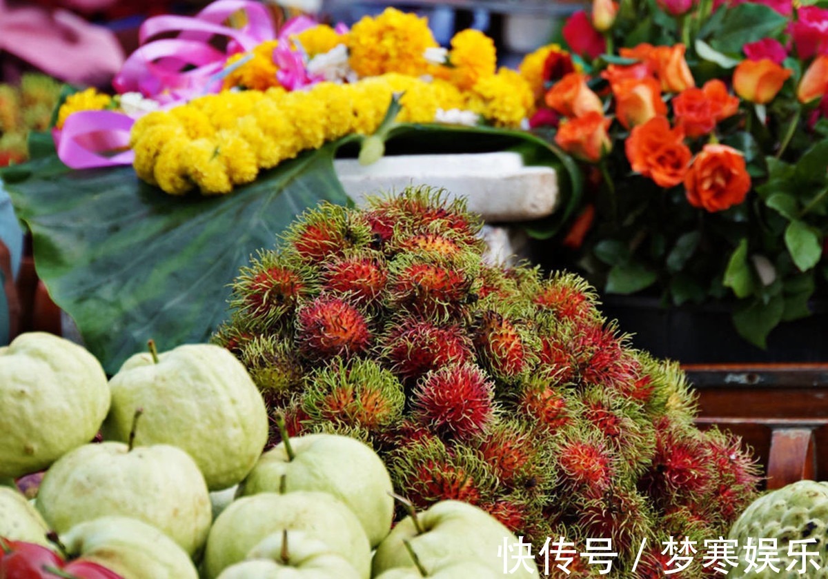 花友们|花市买回来的花，会出现各种不适，教你4招，轻松适应新家