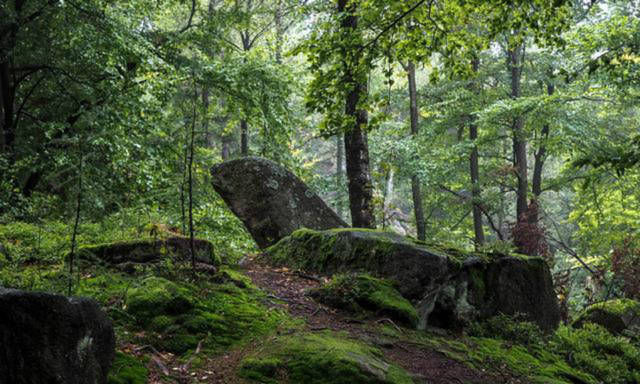 哲理#杨万里比较冷门的一首诗,但很显然被低估了,也是一首难得的佳作