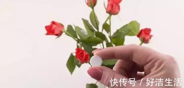 这些过期的药片丢花盆里,花像吃了兴奋剂,猛长叶狂开花