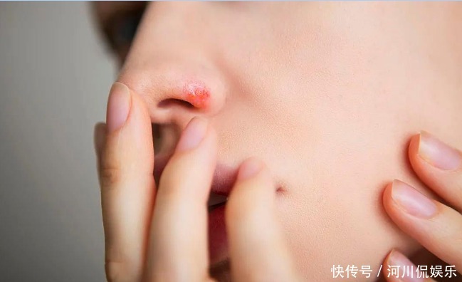 蒲公英泡水|51岁女子,因一壶蒲公英水,被送进医院,蒲公英4大禁忌要知晓