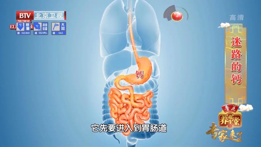  补钙不当，伤肠、伤肾、伤血管！专家：正确补钙，少不了这三个搭档！