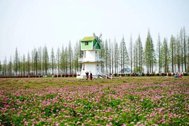 老年|省里点名！泰州这个地方上榜……