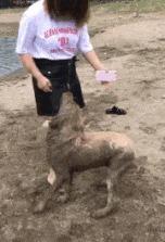 |搞笑GIF:这就有点看不懂了,同样是妹子,为什么她就那么优秀?