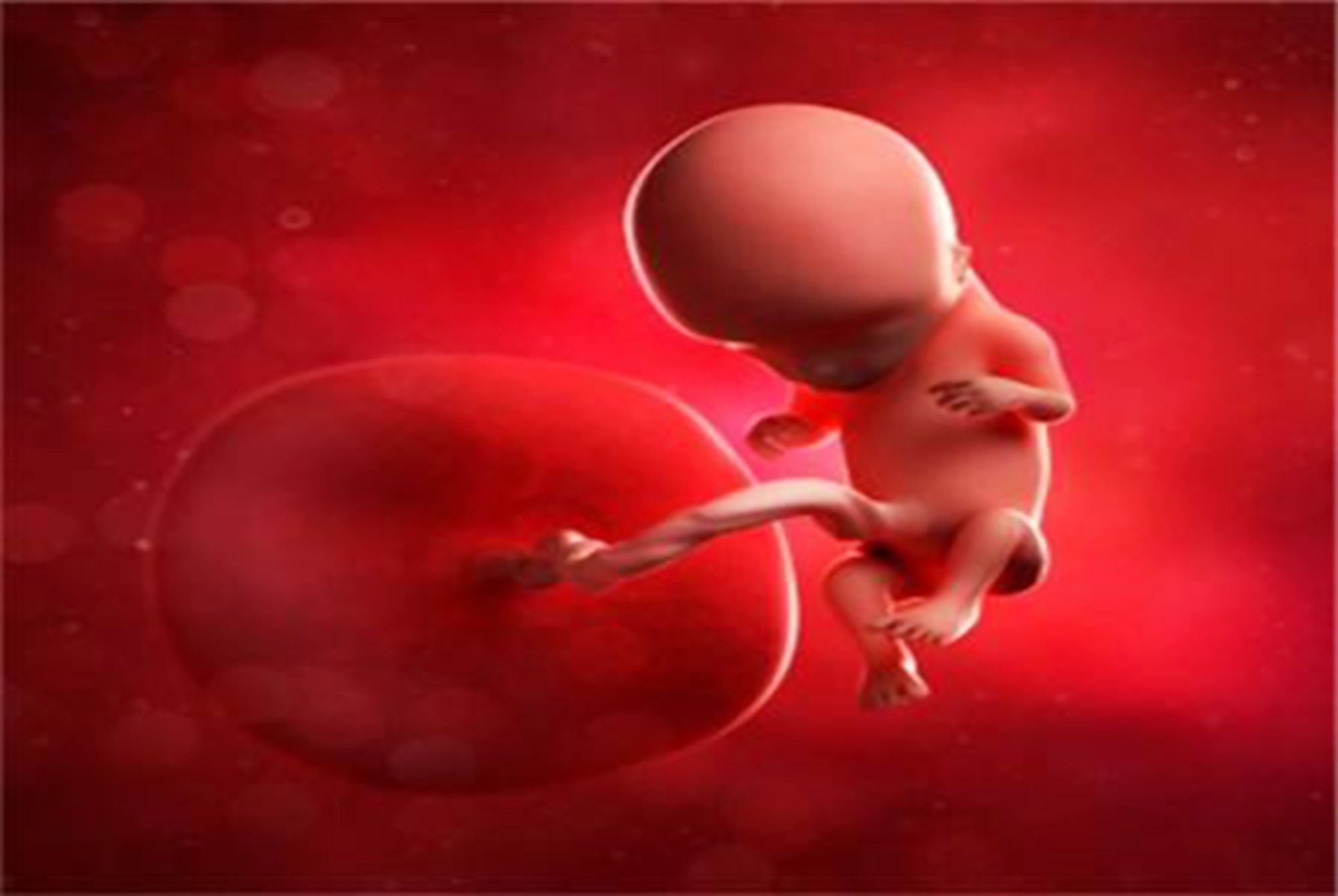孕妈|宝妈要了解胎儿的“猛涨期”，如果补得早，肉可能会长在自己身上