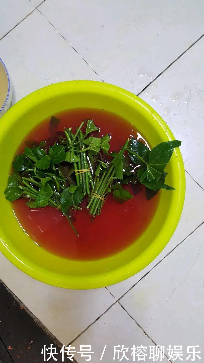 花花|大粗杆插土里,7天生根,当年结果压弯枝,不用买水果了!