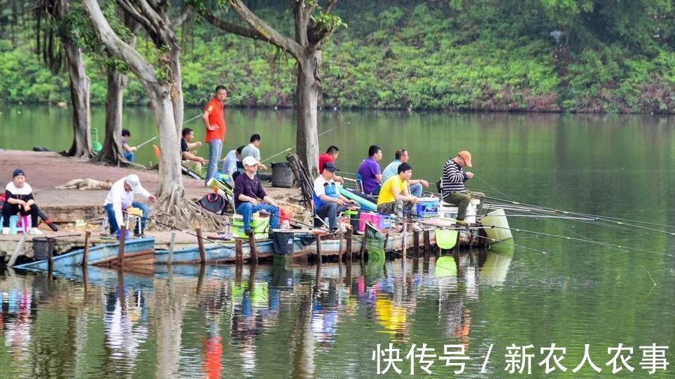 湖南一男子小河道里野钓,意外收获巨型“铜头鱼”,钓鱼人:罕见