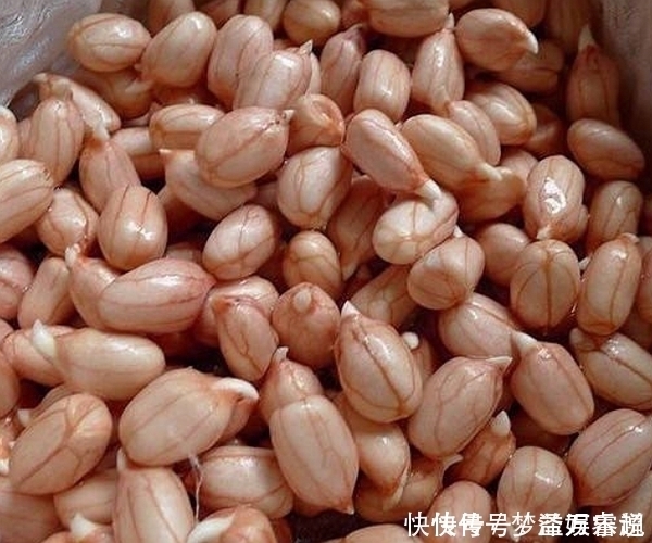 食用|花生、大蒜、土豆、生姜发了芽还能吃吗误吃可能中毒!别大意